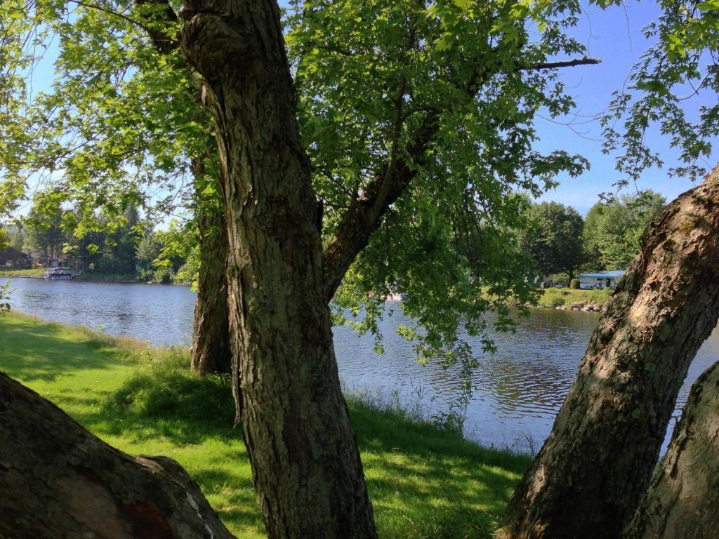 Weedon-Centre Le Reflet De La Riviere B&B المظهر الخارجي الصورة